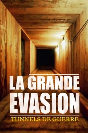 GREAT ESCAPE (2018) Hindi Dubbed | Hindi Dubbed Movie HDRip 450MB